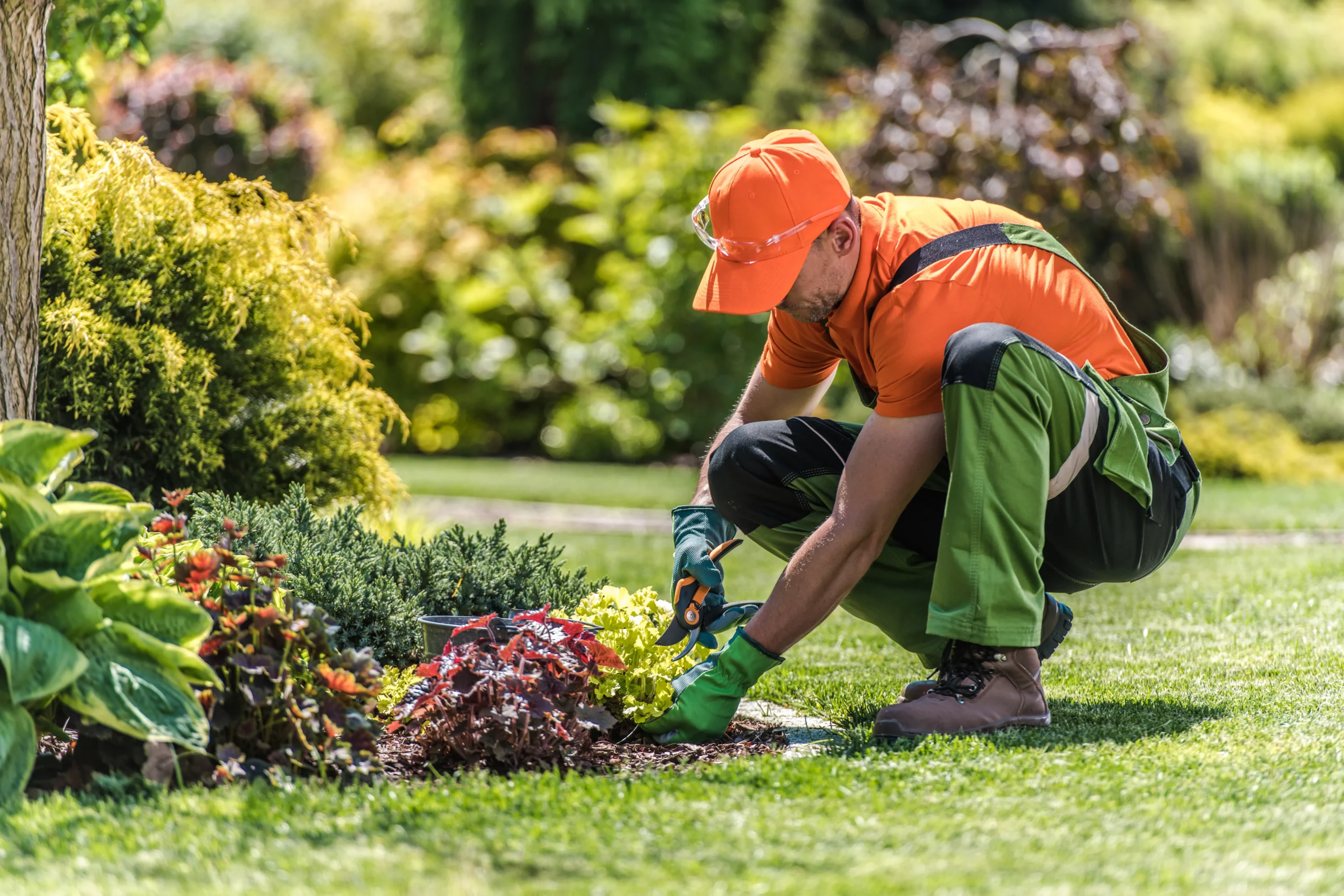 AdobeStock_521805662_resultat